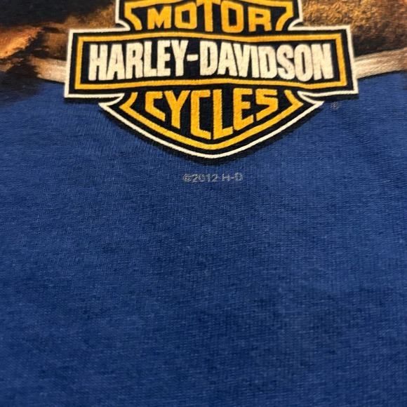 Harley Davidson Mens Size M Peterson’s Key West Blue Graphics Pelican Medium - Picture 8 of 8